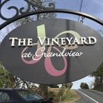 Grandview Vineyard