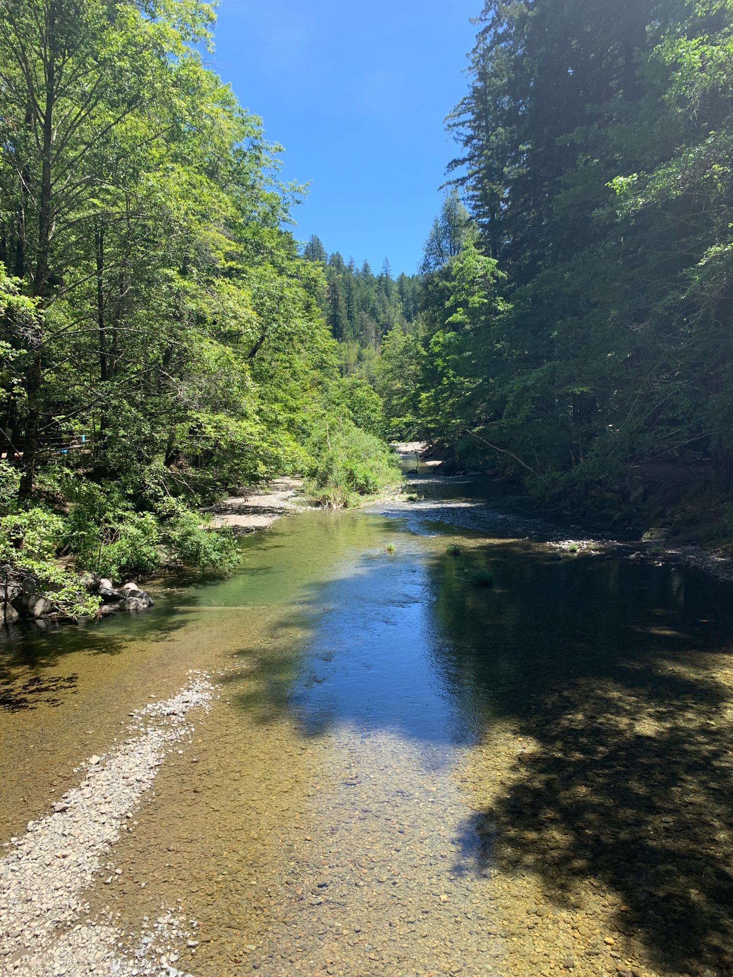 Cazadero Music Camp- Creek