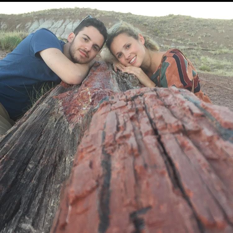 Petrified Forest National Park