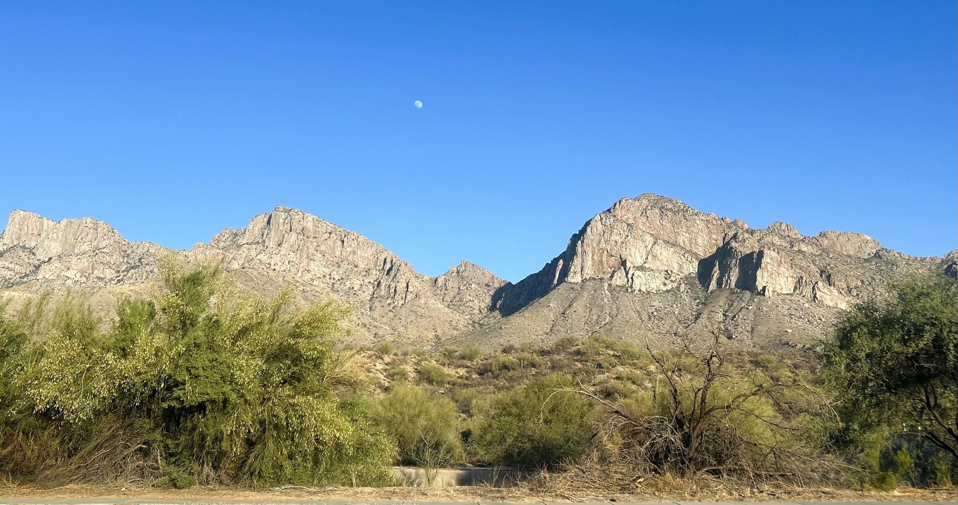 The Wedding Website of Samantha Meakin and Amos Webb