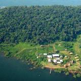 Ngamba Island Chimpanzee Sanctuary