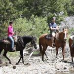Alpine Meadows Stables