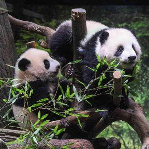 Trip to the Zoo