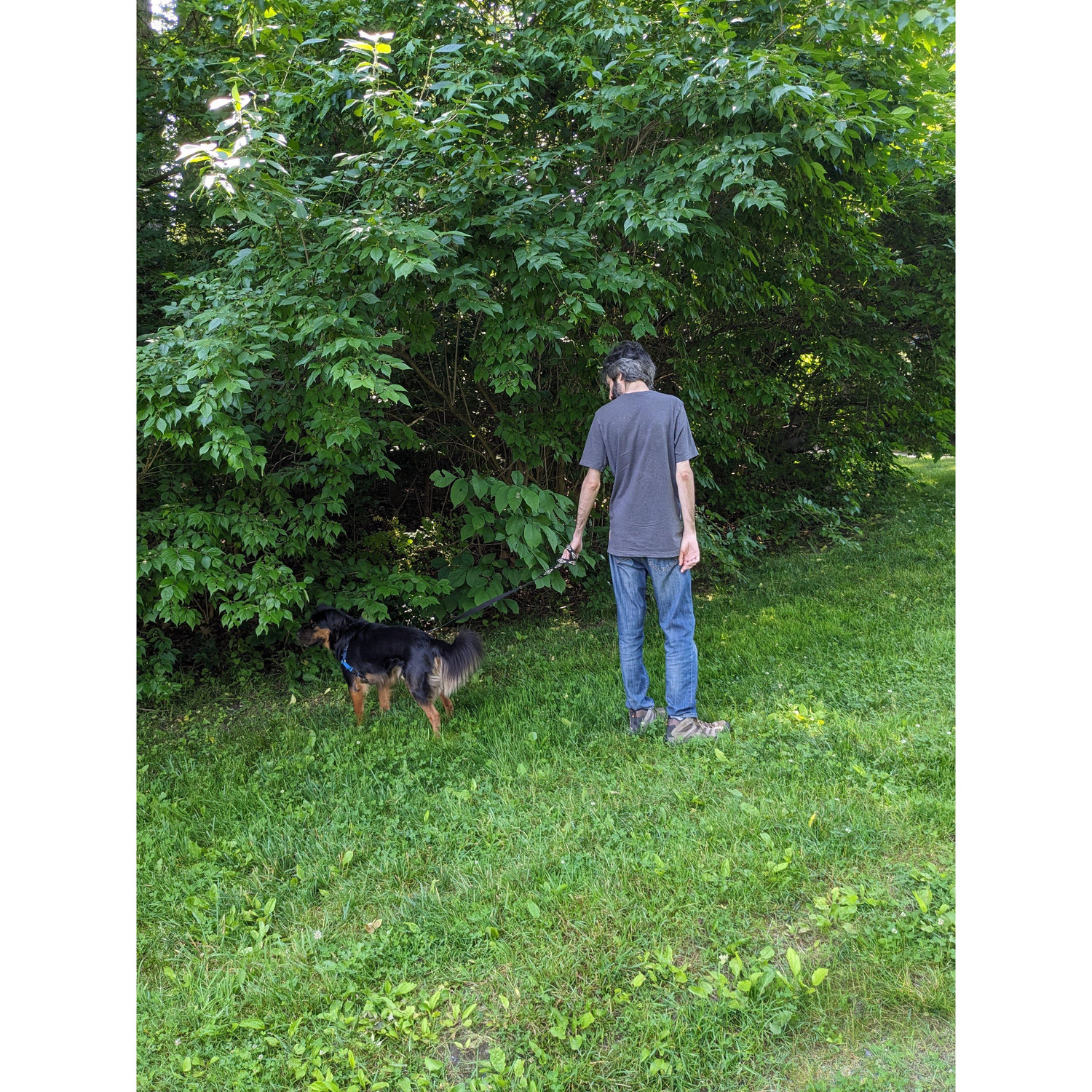 The first time Jesse walked Benji, then Ben