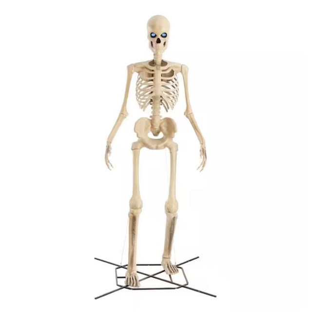 $300 12 ft Skeleton from Home Depot