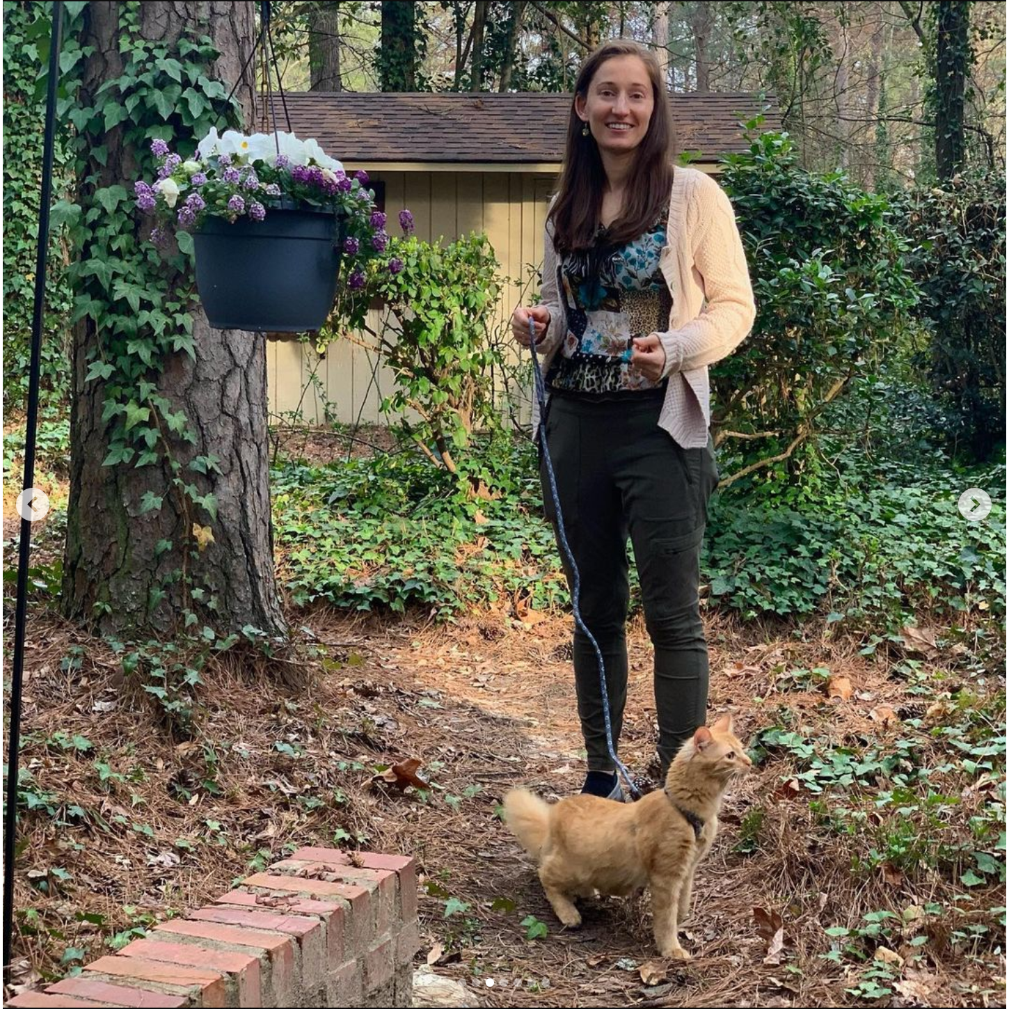 Walking Cymbeline in the backyard