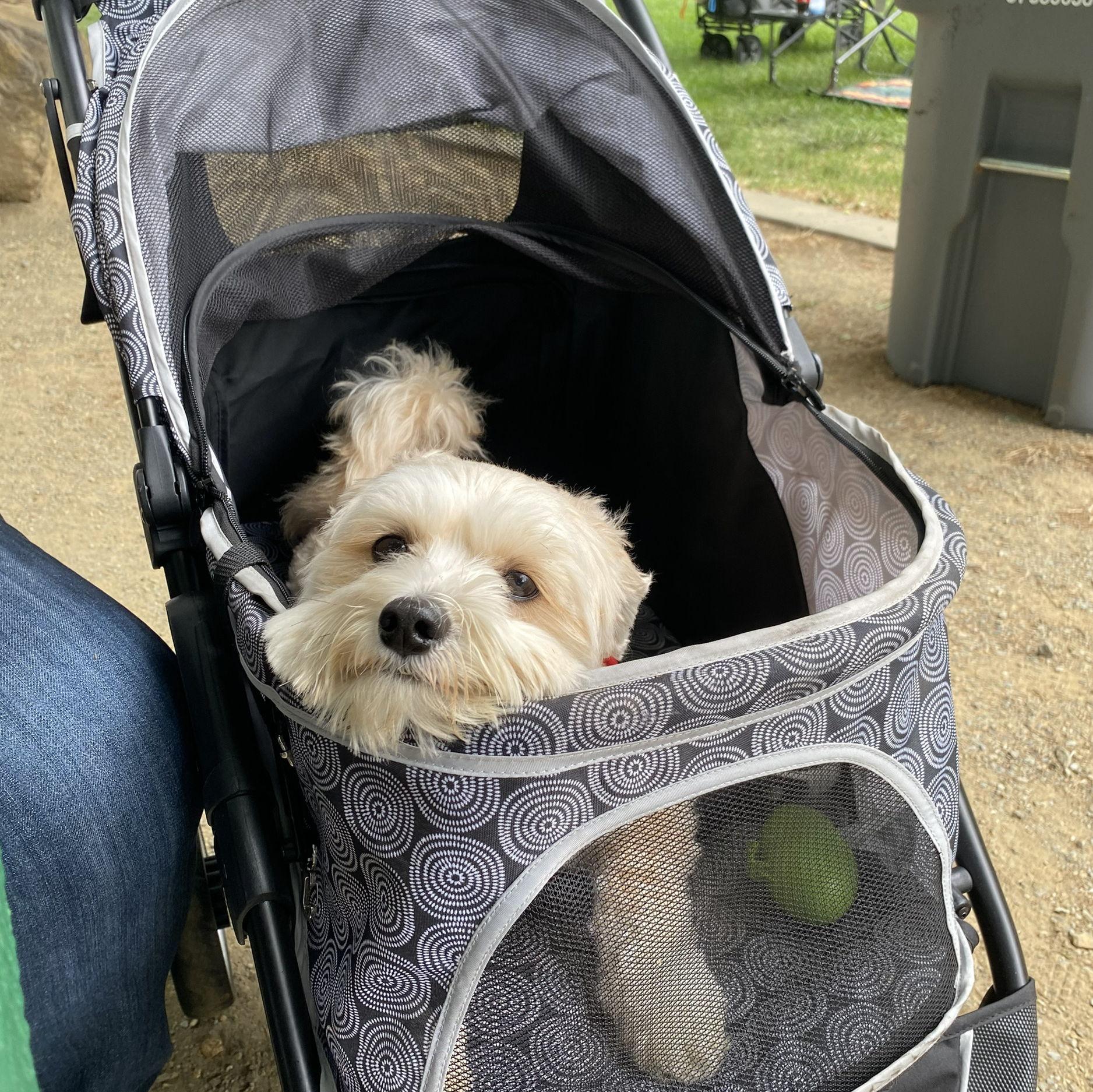 She's been through every milestone, the best secret keeper in the family