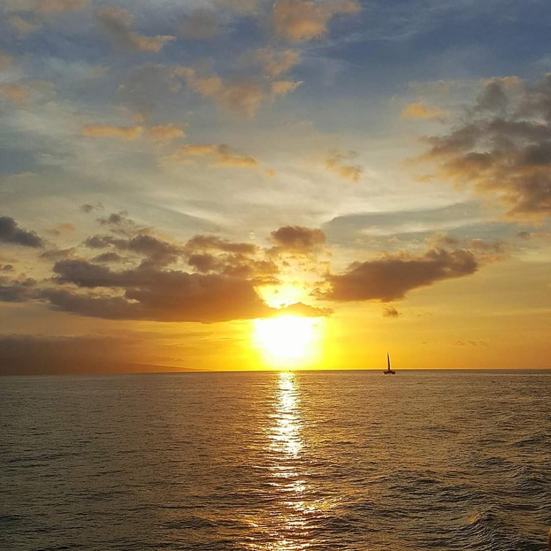 Hawaii Ocean Project Sunset Dinner Cruise