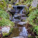 Bellevue Botanical Garden