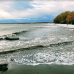 Little Squalicum Beach