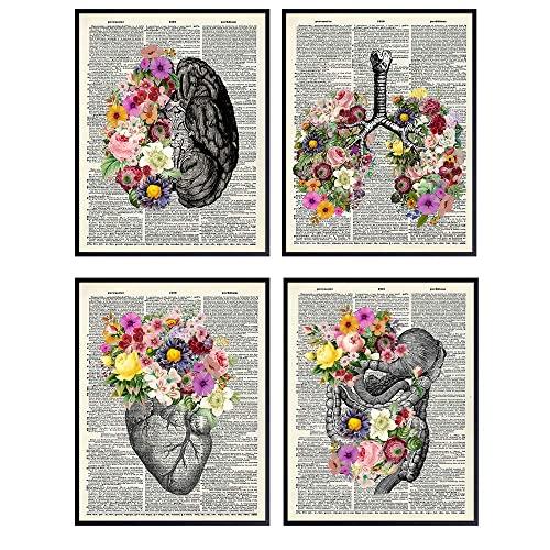 Organs & Flowers Dictionary Wall Art Decor Set - 8x10 Vintage Upcycled Unframed Prints for Home or Doctor Office - Unique Steampunk Goth Room Decor - Gift for Doctor, Nurse, PA, Med Student