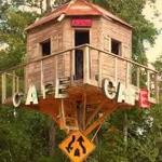 The Treehouse Cafe