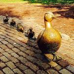 Make Way for Ducklings