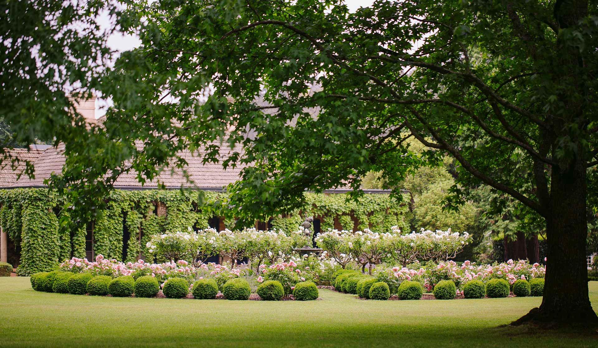 The Wedding Website of Dylan Robson-Bray and Alena Angelopoulos