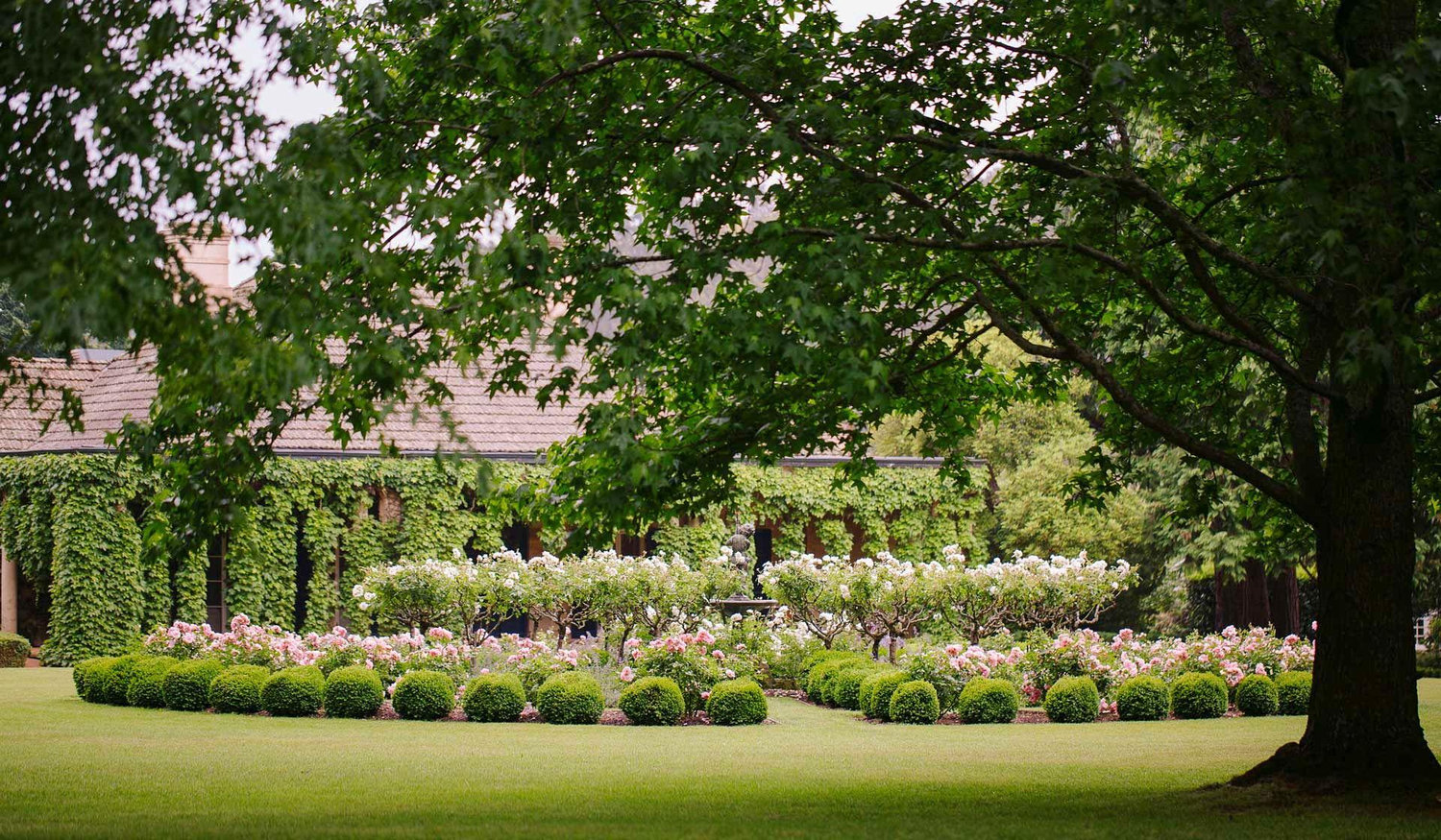 The Wedding Website of Dylan Robson-Bray and Alena Angelopoulos