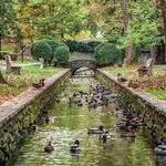 Lititz Springs Park