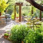 Tucson Botanical Gardens