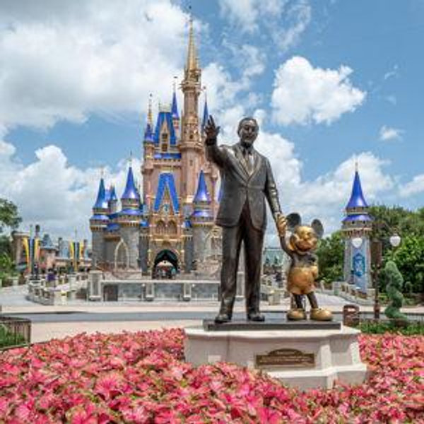 Honeymoon at Disney World