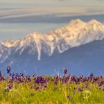 Mission Mountains Wilderness