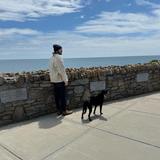 Cliff Walk