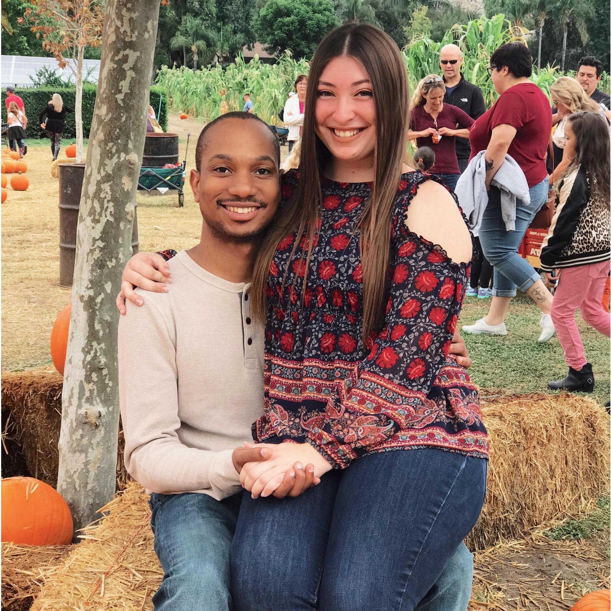 PUMPKIN PATCH