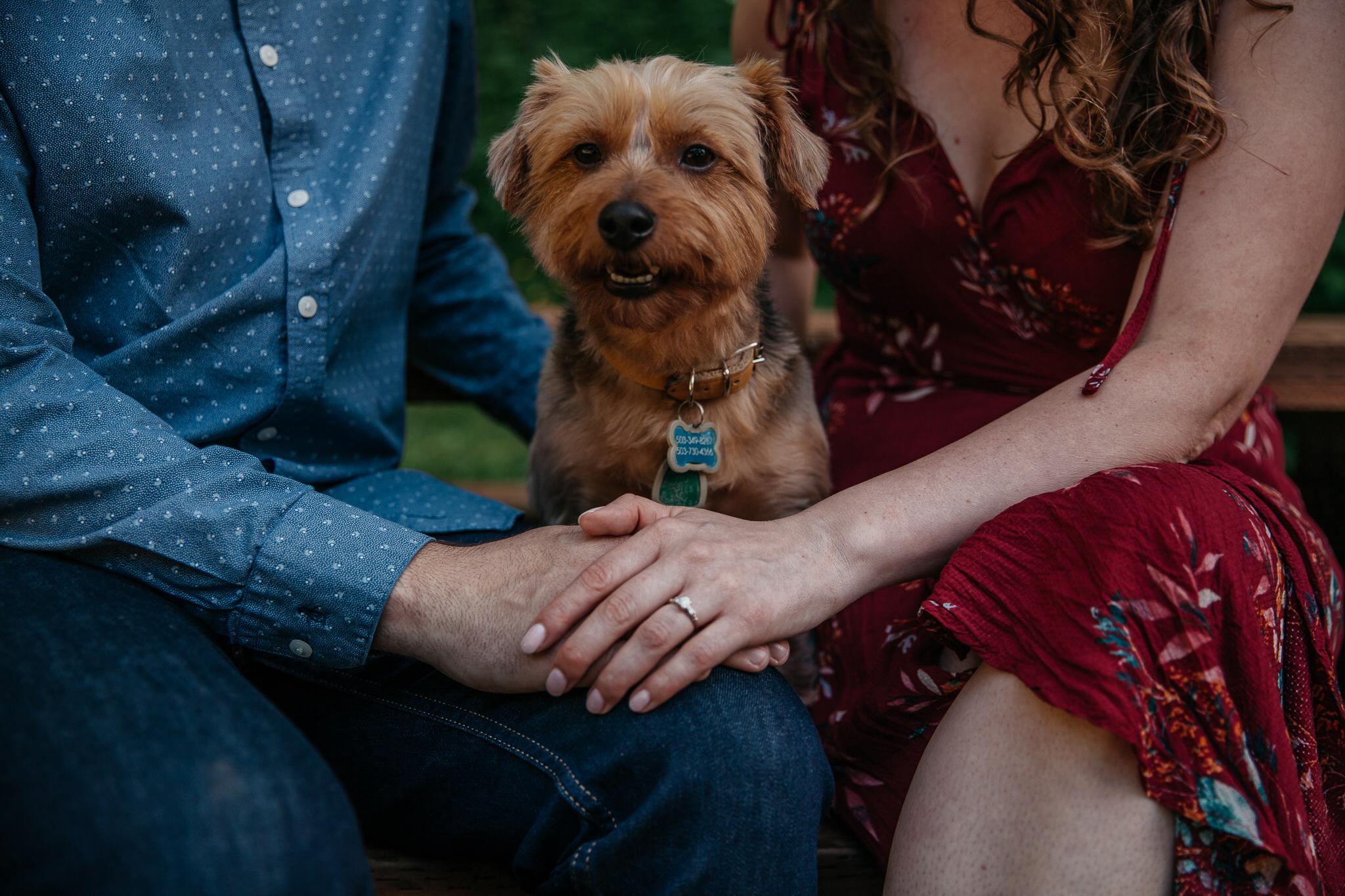 The Wedding Website of Courtney Wangen and Craig Galyon