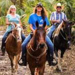Wagon Wheel Horse Farm