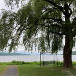 Stewart Park