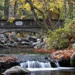 Explore @ Lithia Park