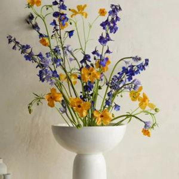 Footed Vase with Flower Frog
