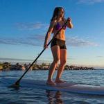 Log Boom Park - Paddle Board, Kayak, Canoe, & Bike Rentals