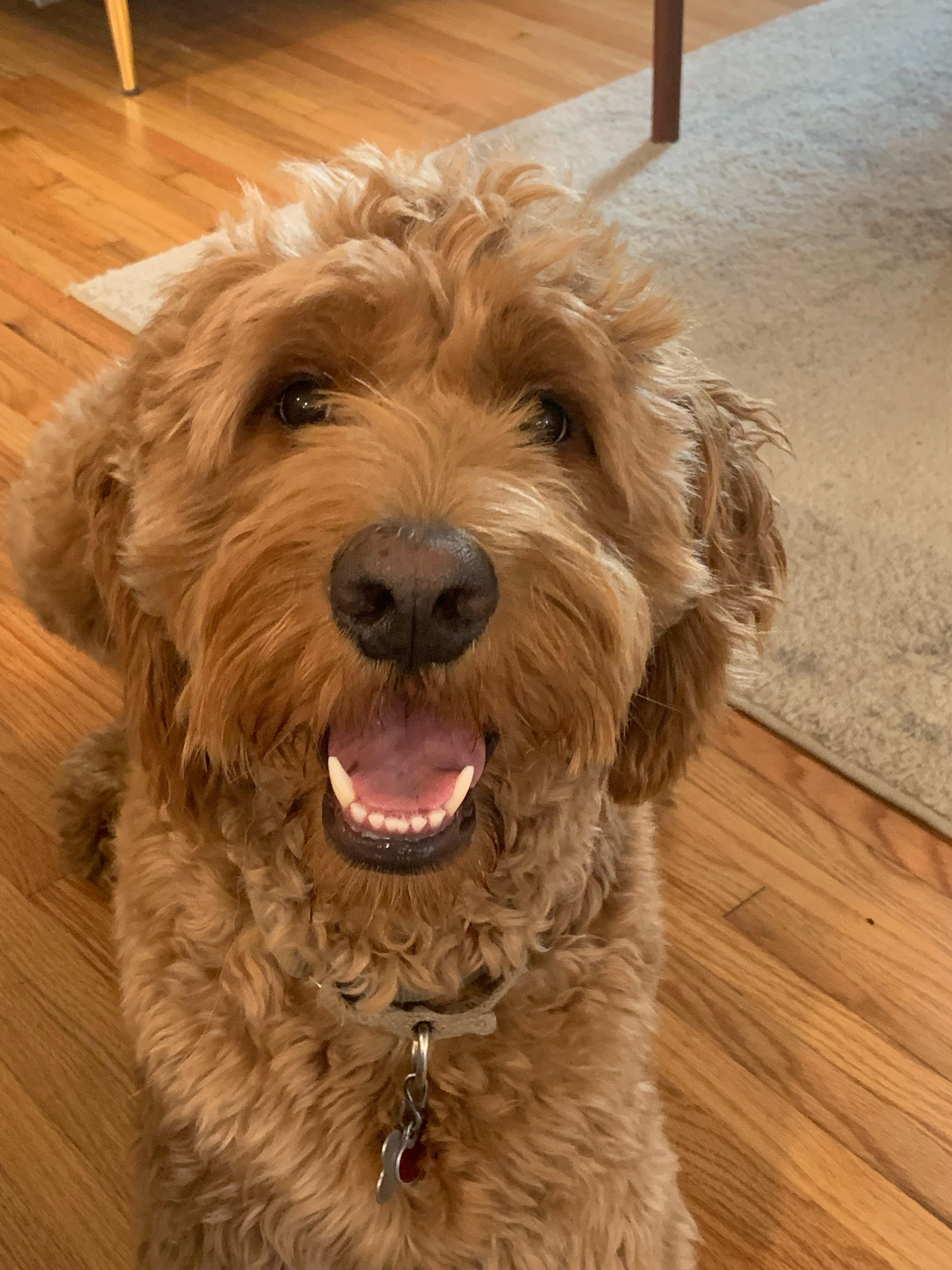 The Wedding Website of Erin Edwards and Daniel Marshall