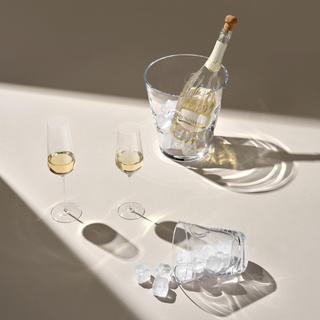 Glacier Champagne Cooler