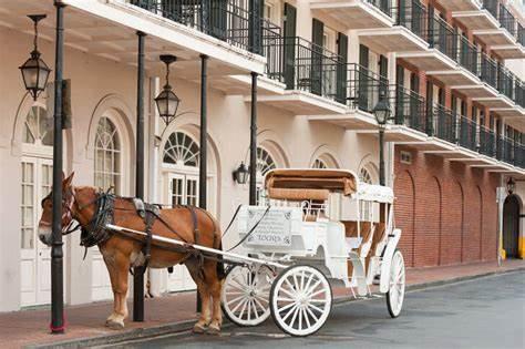 The Wedding Website of Cedric Gibson and Nicole Gibson