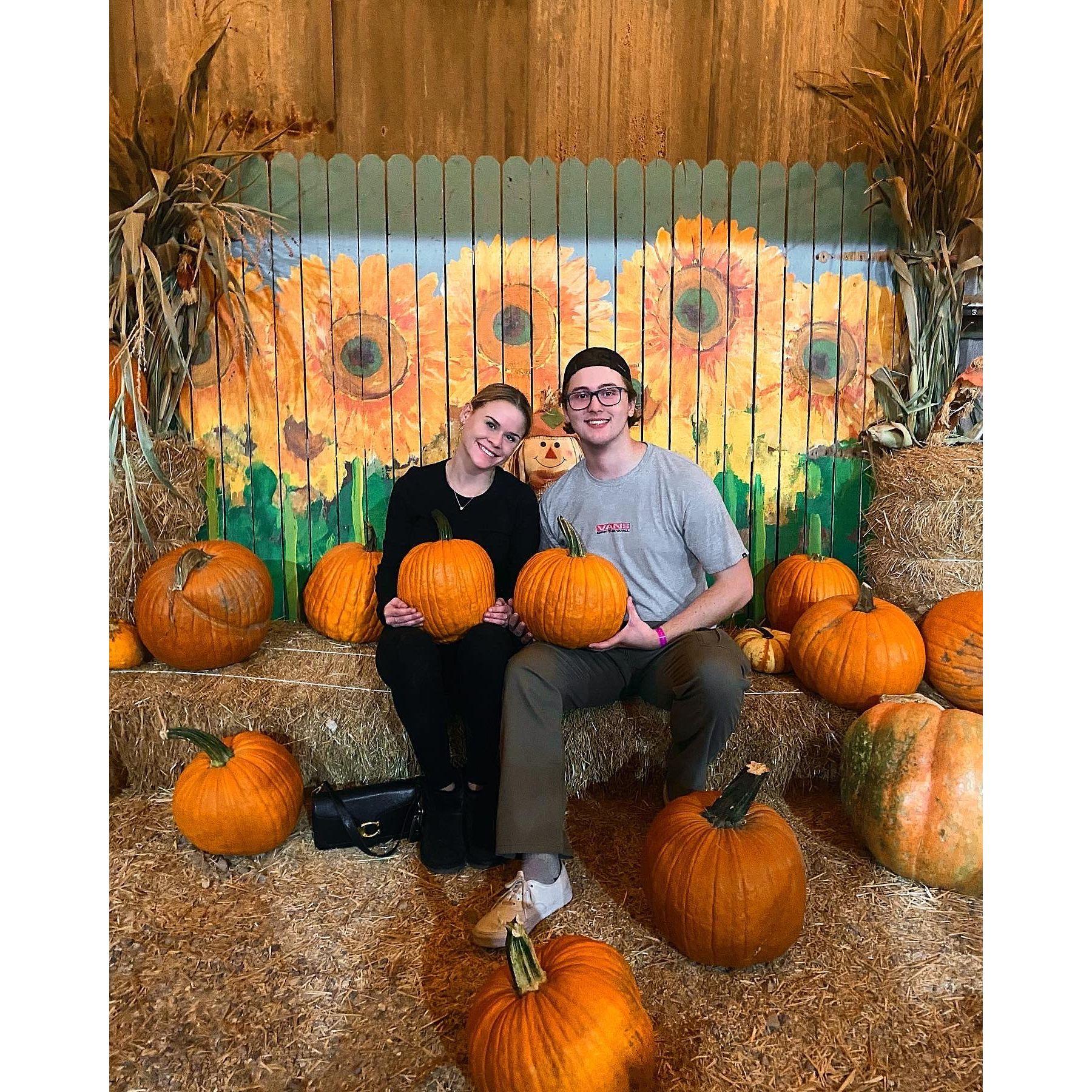 First Halloween in Tucson