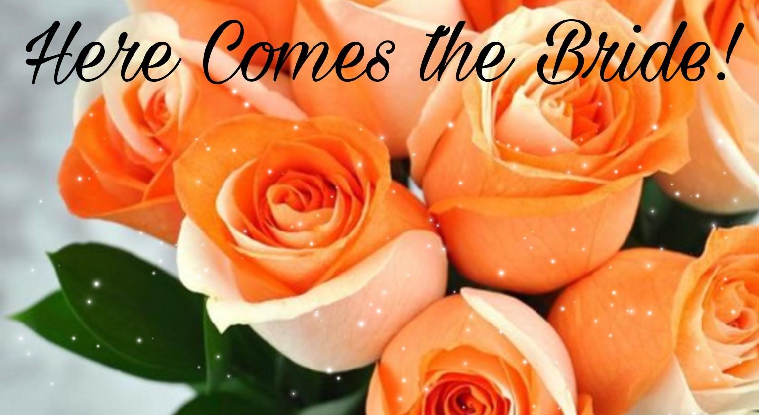 The Wedding Website of Chandler Curry and Anthony Falsitta