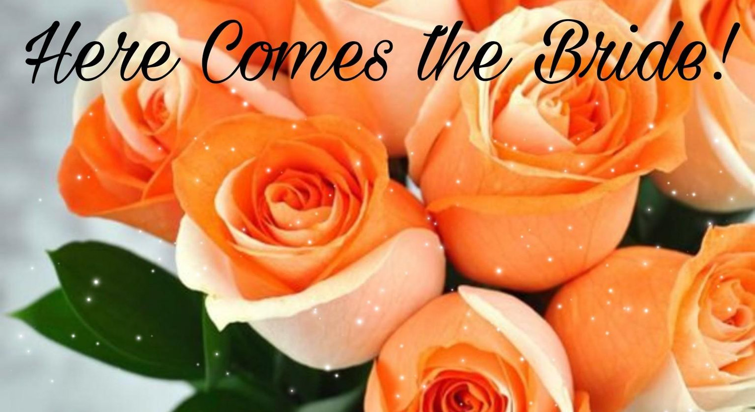 The Wedding Website of Chandler Curry and Anthony Falsitta