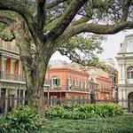 Garden District