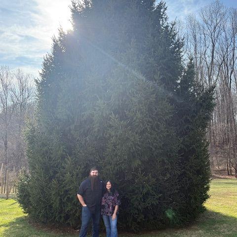 The tree our ceremony we'll be in front of!