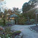 Gaia's Garden