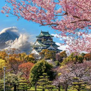 Vote for Japan Honeymoon