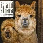Island Alpaca Company
