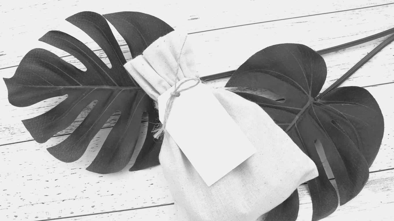 8faaf095-32d1-4e57-bdc1-4eea0f608101