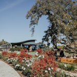 Casino Mine Ranch