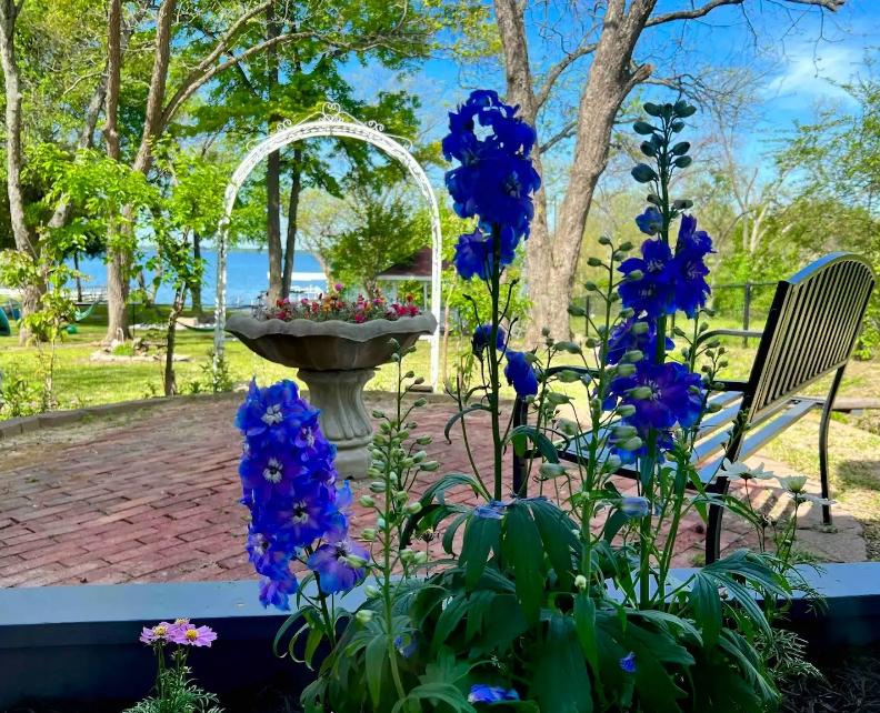 The Wedding Website of Lupe Lopez and Ellen Lopez