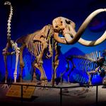Milwaukee Public Museum