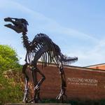 McClung Museum of Natural History & Culture