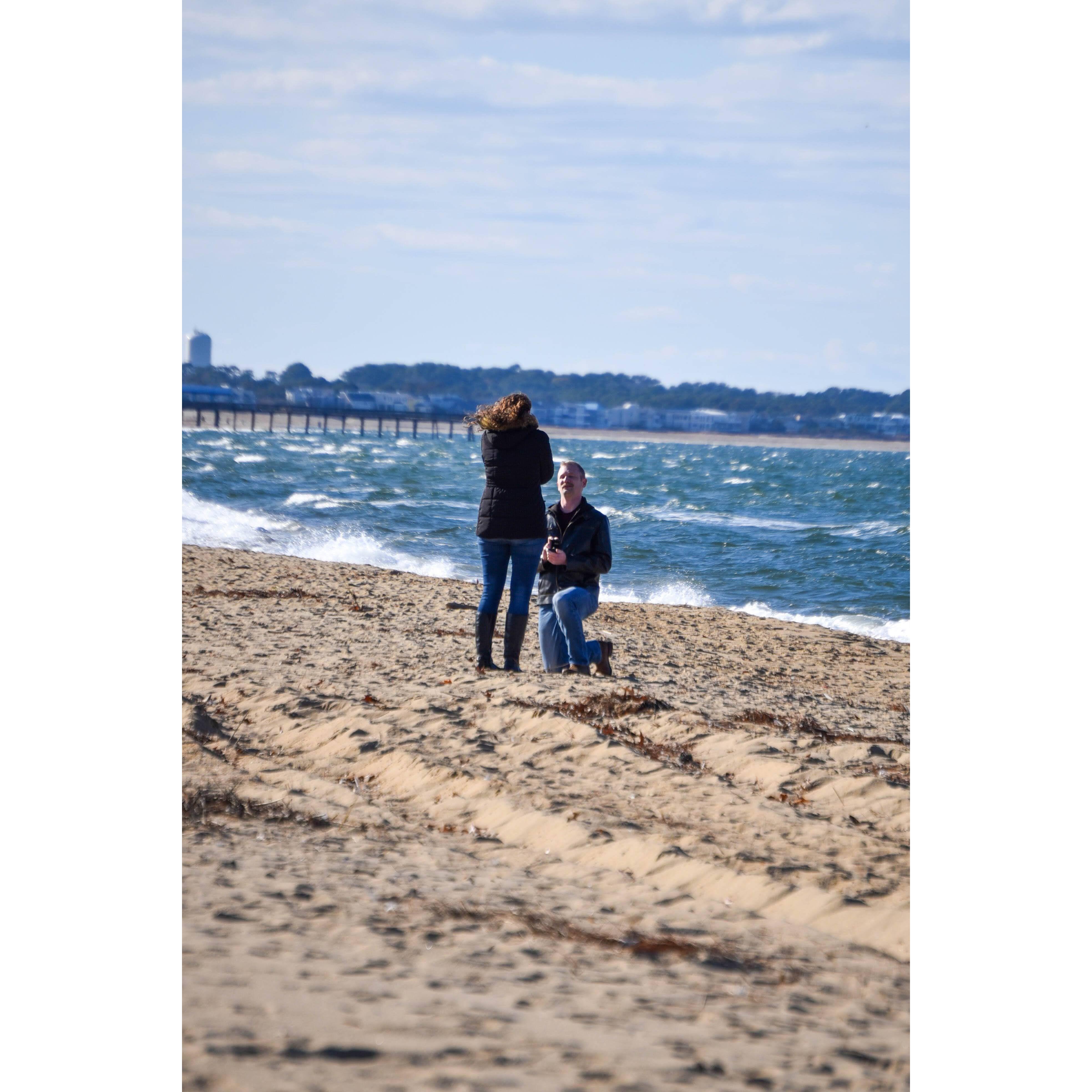 Shane popping the question at the beach