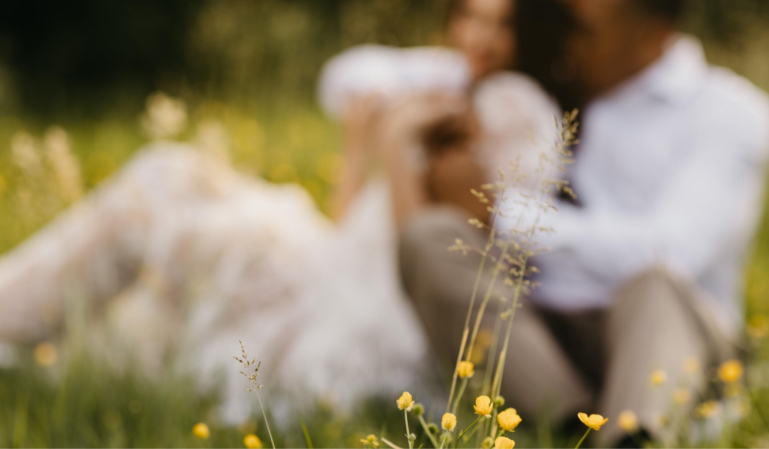 The Wedding Website of Teagan Fenske and Jevon Morris