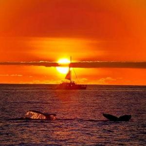 Sunset Cruise in Hawaii